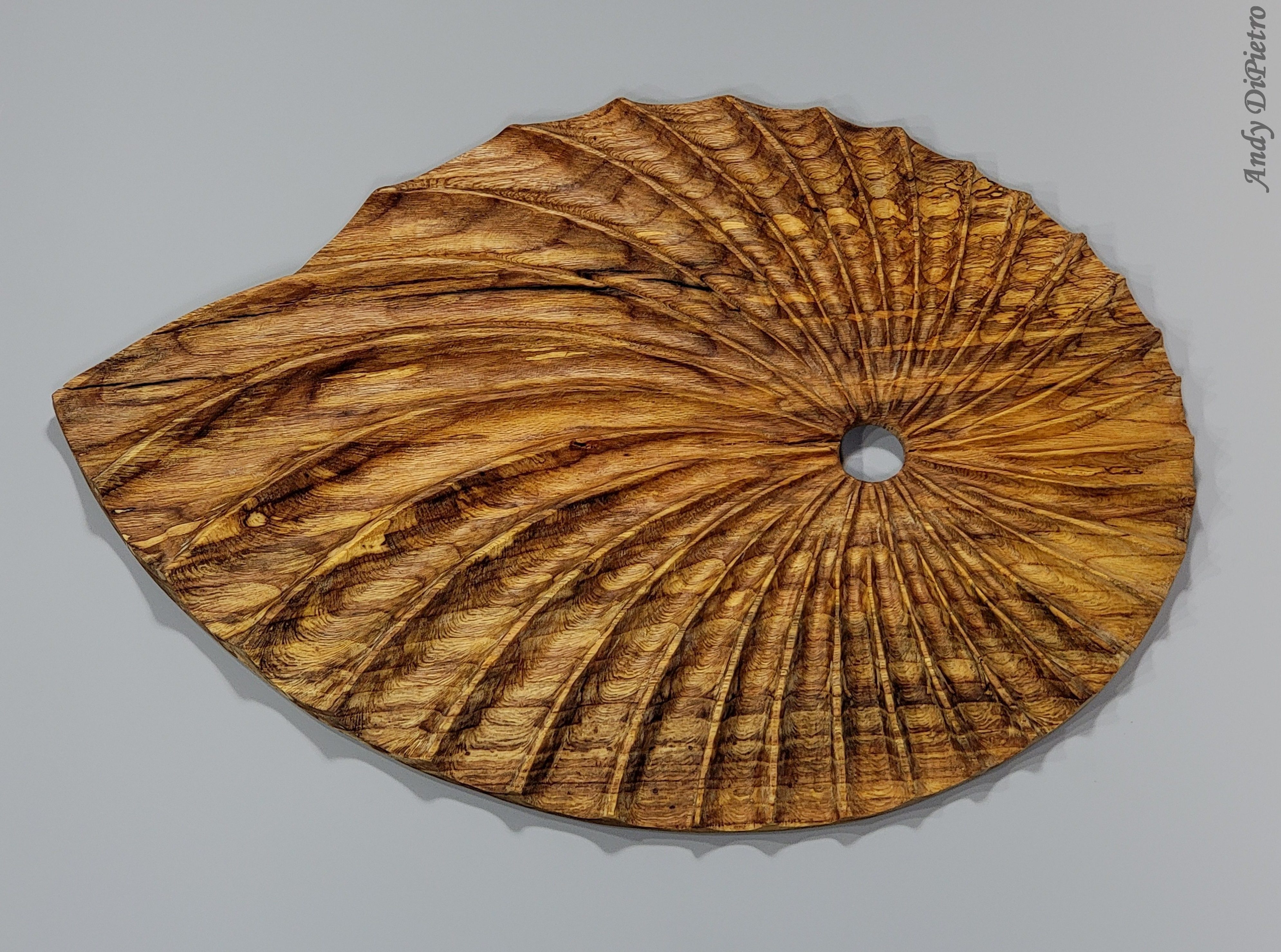 Shell Form 2 - Andy DiPietro's Sculptures
