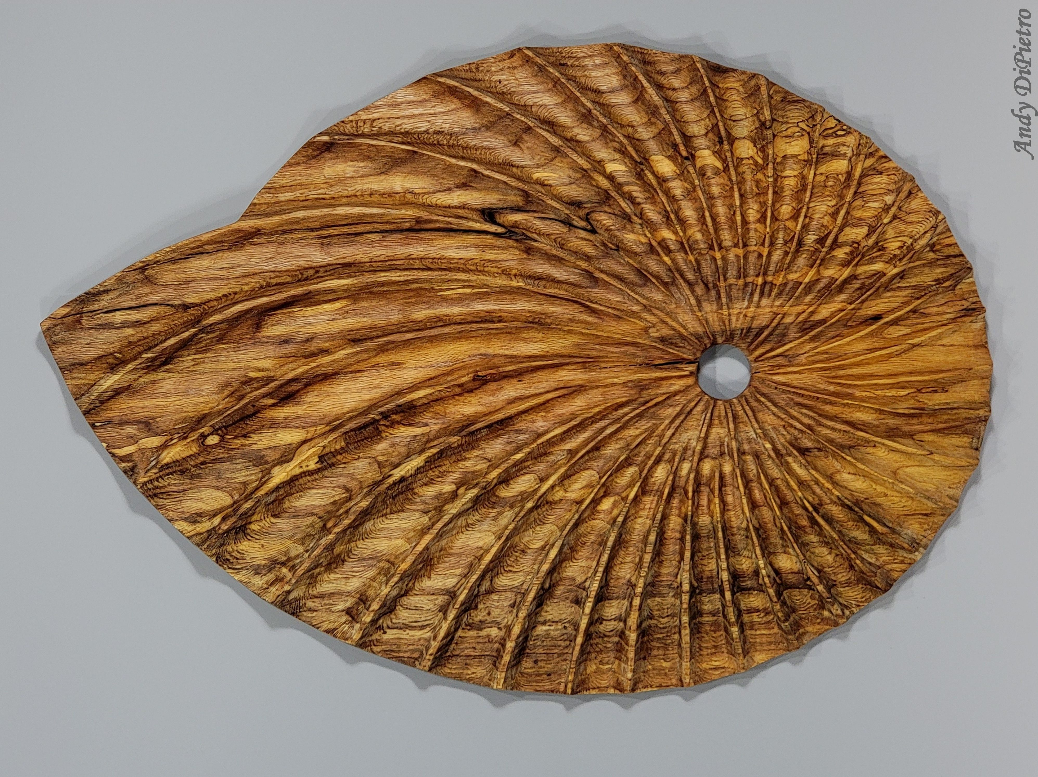 Shell Form 2 - Andy DiPietro's Sculptures