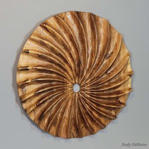 Spiraled Maple 21