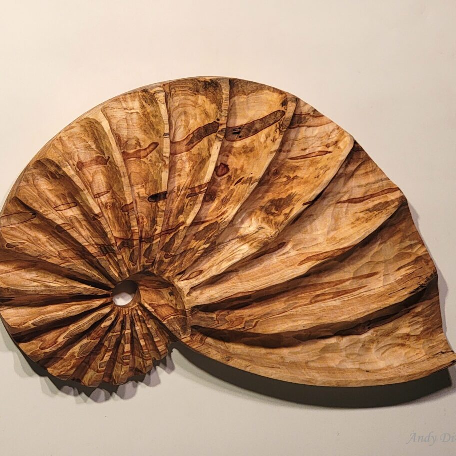 Ambrosia Fibonacci Shell - Andy DiPietro's Sculptures