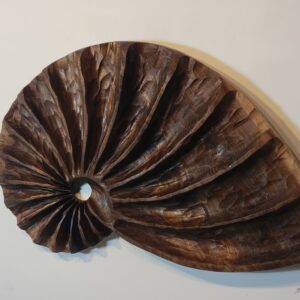 Walnut Fibonacci