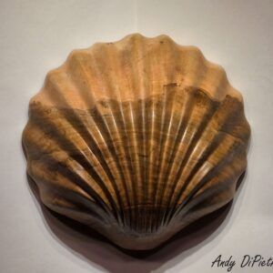 Maple Seashell